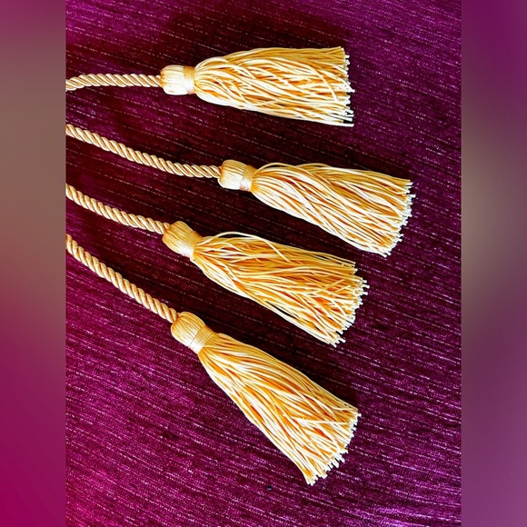 🎓 Graduation Bundle 2 Gold Cords and NSHSS Scholar Sticker 🎓 - Picture 4 of 6